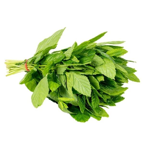 Herb Mint bunch