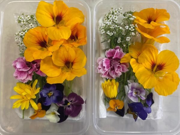 Edible flowers Mix Small