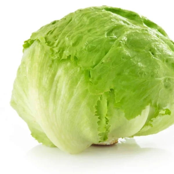 Lettuce Iceberg each
