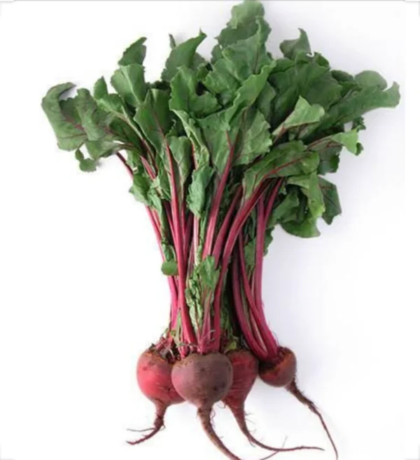 Beetroot bunch