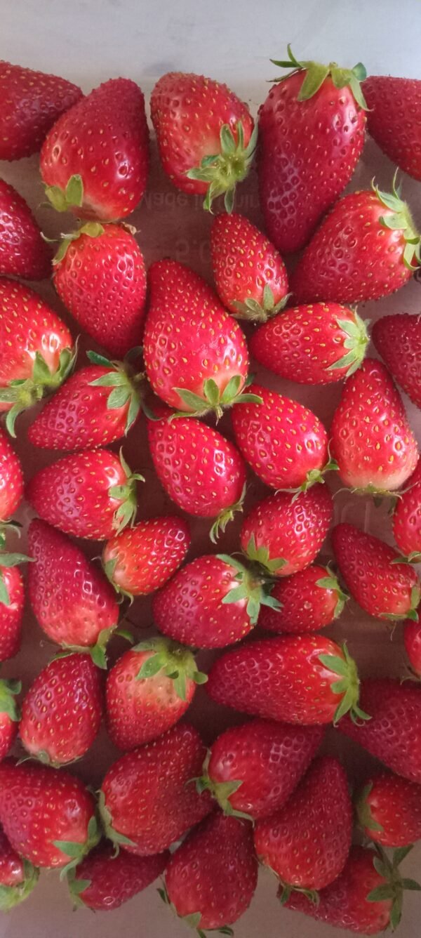 Strawberries 250g punnet
