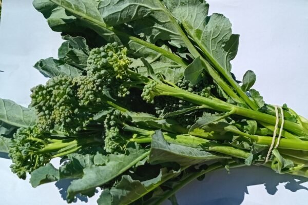 Broccolette Bunch