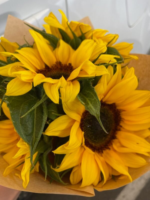 Flower bunch each.