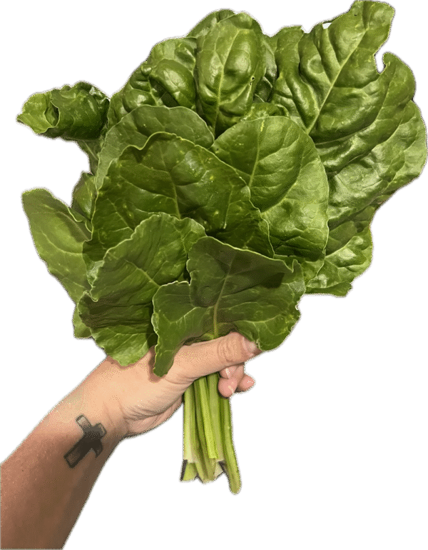 Spinach Bunch 100g