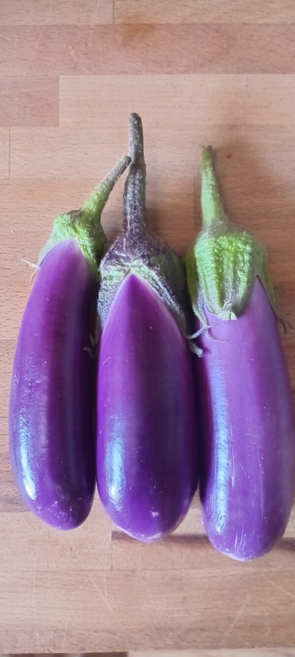 Eggplant Lebanese 250g
