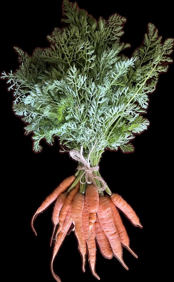 Carrot bunch 500g