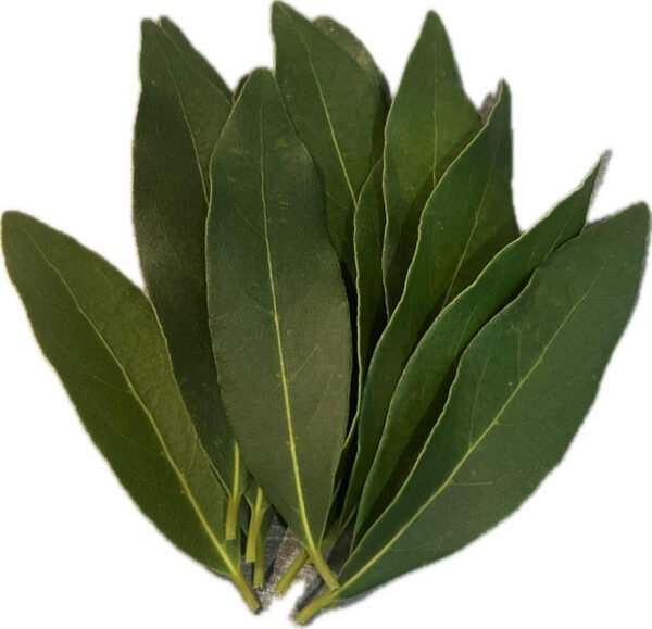 Bay Leaves 14 pack