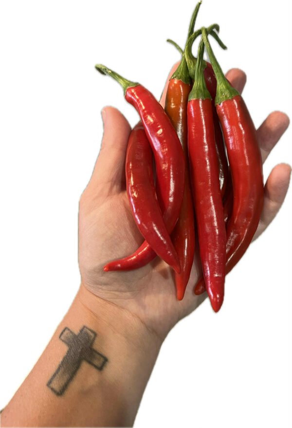 Cayenne Chilli Red 4 pack