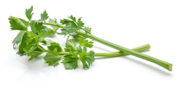 Celery Stick each.