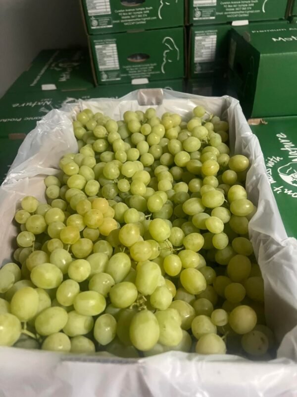 Grapes Ivory Seedless Certified Organic 1kg