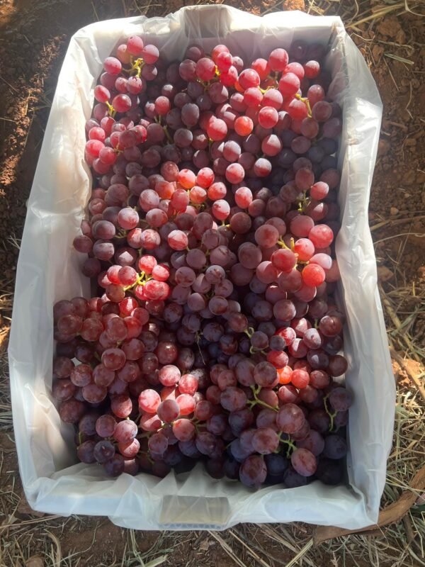 Grapes Crimson Seedless Certified Organic 1kg