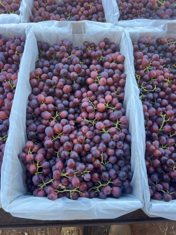 Grapes Sunrise Seedless Certified Organic 1kg