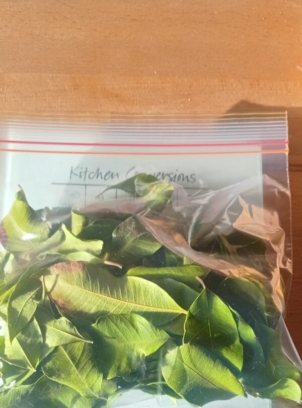 Lemon Myrtle Leaves 15g