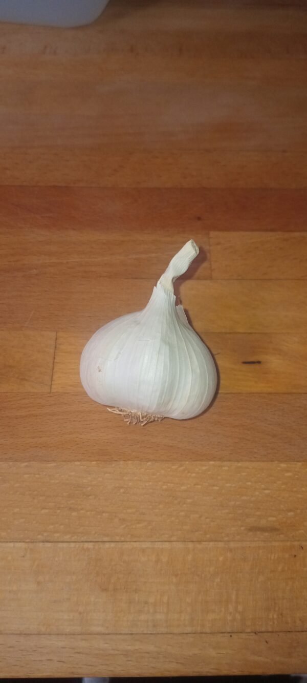 Garlic Silverskin 100g
