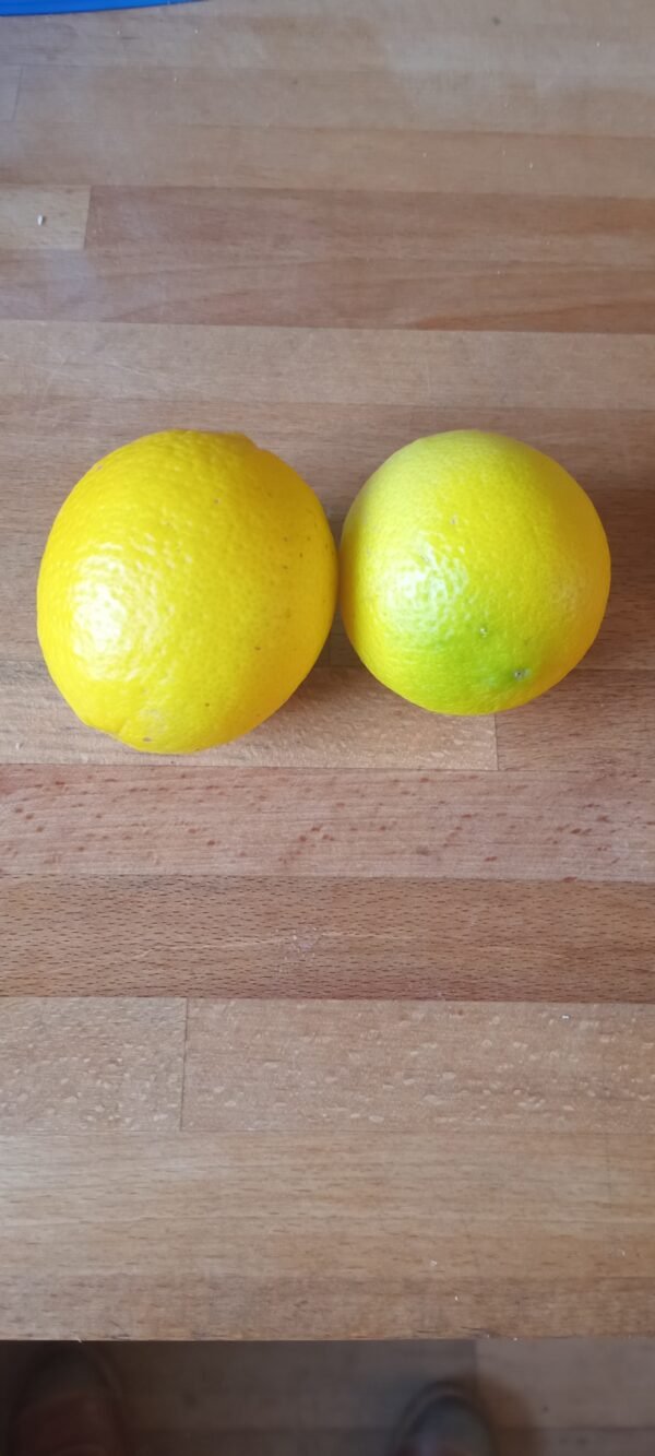 Limes pack of 2