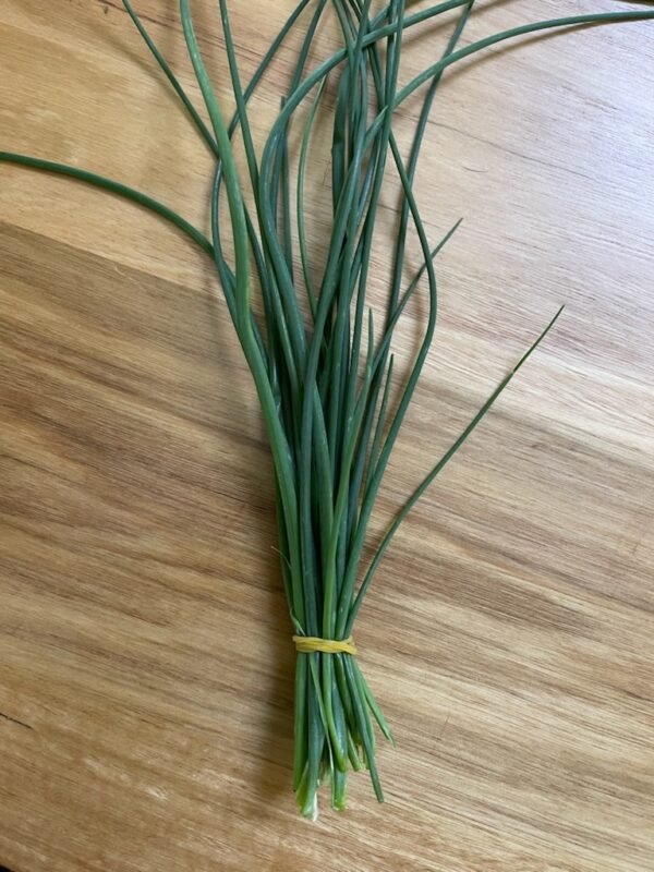 Herb Chives Bunch