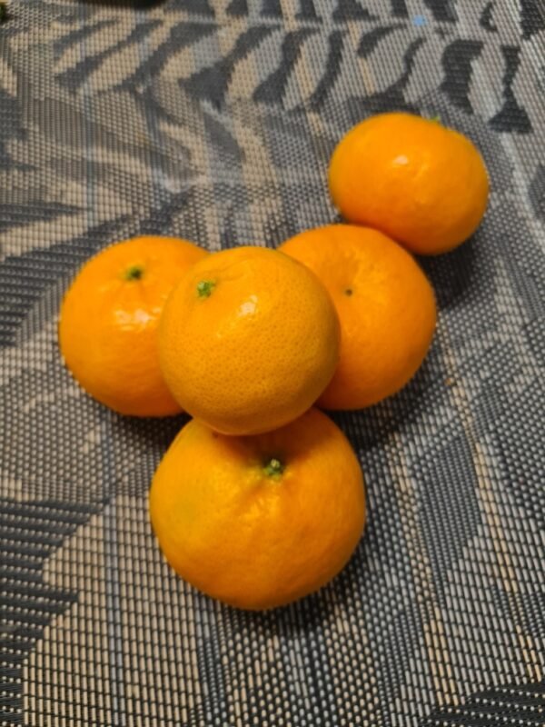 Mandarin Small 500g