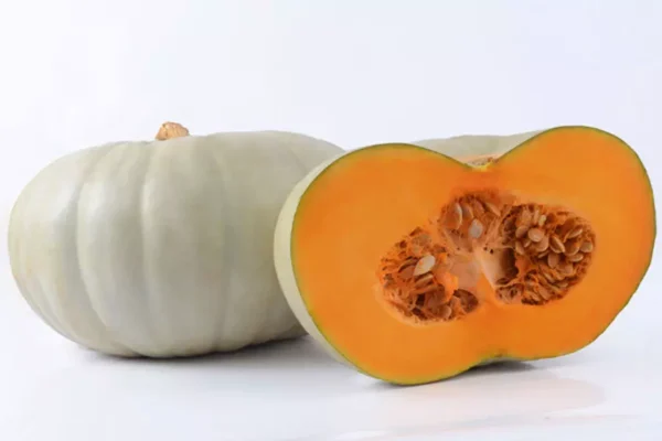 Pumpkin Grey Each (Certified Organic)
