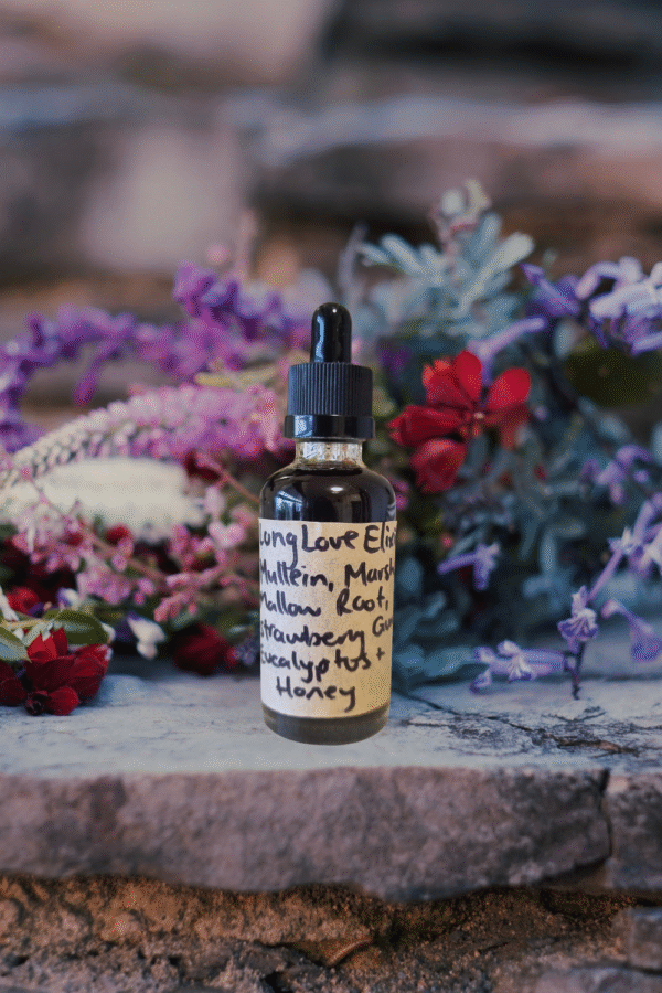 Elixir Lung Love 50ml