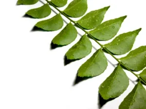 Curry Leaves 10g